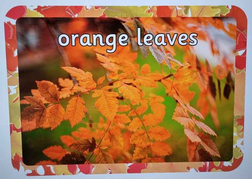 obrazek pomarańczowych liści z napisem orange leaves