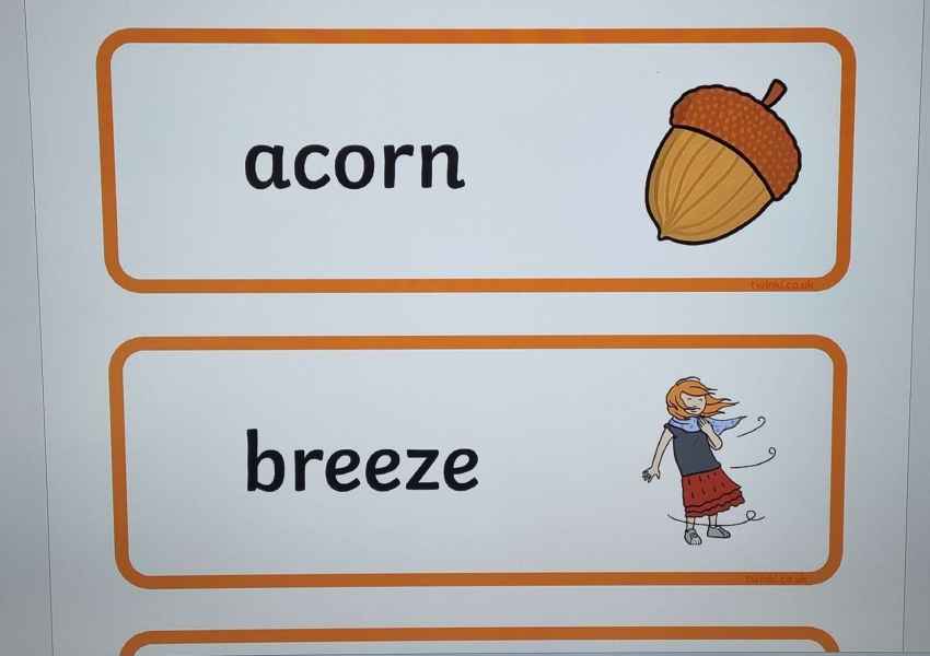 zdjęcie obrazków żołędzia i dziewczynki na wietrze z napisem acorn i breeze