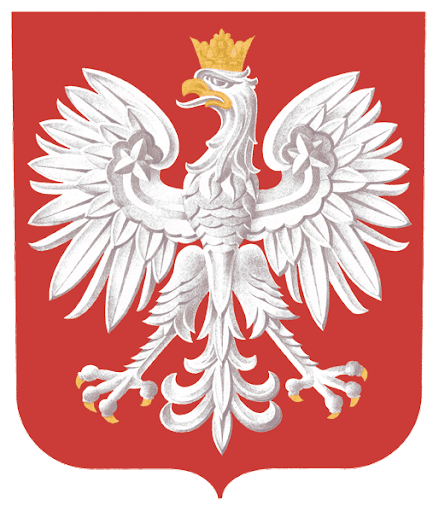 orzeł foto